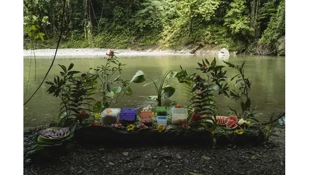 6 Potret Penginapan Milik Nicholas Saputra yang Berada di Tengah Hutan Sumatra