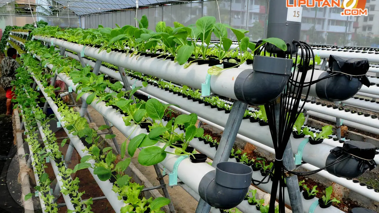 Green House Bikin Rusun Marunda Terlihat Asri