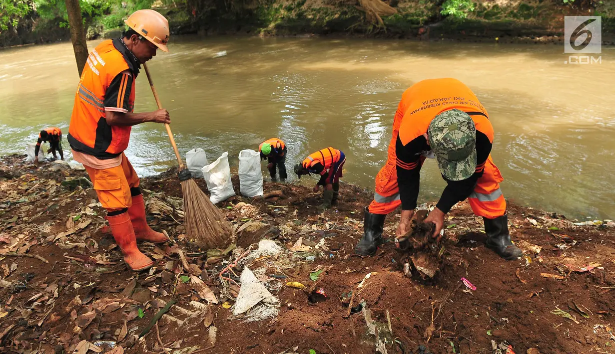 Sejumlah petugas PPSU atau pasukan oranye menggunakan karung mengumpulkan rumput liar dan sampah mengendap di tepi kali Ciliwung, Lenteng Agung , Jakarta, Sabtu (28/10). Hal itu dilakukan demi menjaga kebersihan kali Ciliwung. (Liputan6.com/Helmi Afandi)