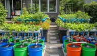 7 Ide Budikdamber Modern yang Bikin Halaman Rumah Lebih Produktif