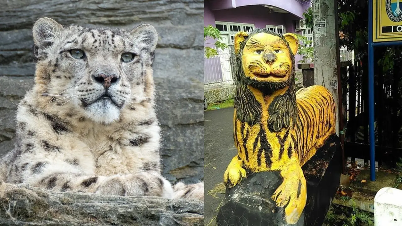 Ilustrasi macan lucu