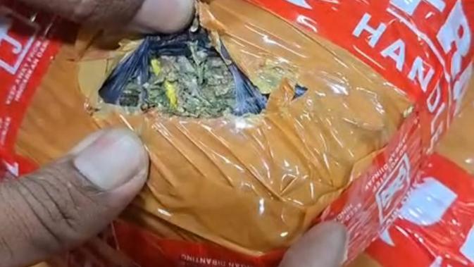 Pengedar Narkoba Ditangkap di Stasiun Tanah Abang saat Ambil Ganja 3,6 Kg dari Ekspedisi