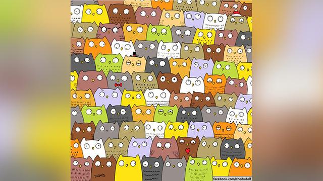 Ilustrator Cari Panda Kembali Cari Kucing Dan Burung Hantu Global Liputan6 Com
