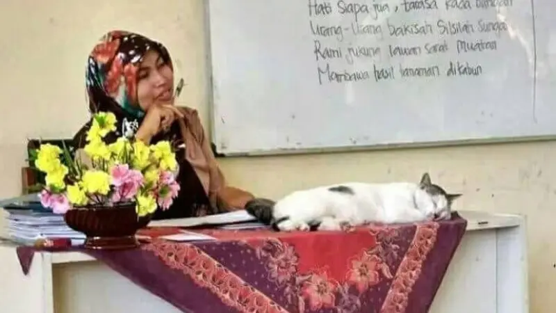 Gemas Banget, 7 Foto Kocaknya Kalau Kucing Sekolah