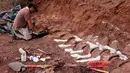 Gambar yang dirilis pada 20 Januari 2021 menunjukkan ahli paleontologi selama penggalian di mana fosil berusia 98 juta tahun ditemukan di barat daya Argentina. Arkeolog menemukannya di endapan sedimen tebal yang dikenal sebagai Formasi Candeleros. (JOSE LUIS CARBALLIDO/CTyS-UNLaM/AFP)
