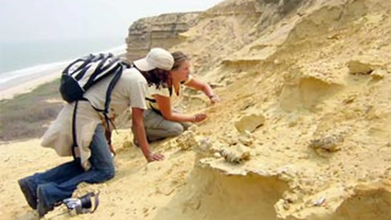110318dino-angola.jpg