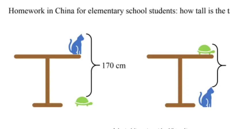 soal mtk anak SD China (Foto: Mindyourdecisions.com)