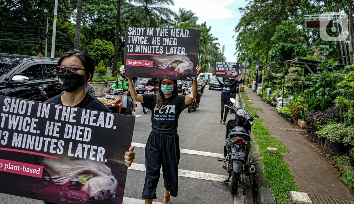 Aktivis dari PETA melakukan aksi mengecam pemotongan sapi di depan Kementerian Pertanian, Jakarta, Kamis (11/11/2021). Mereka menemukan beberapa rumah potong hewan (RPH) di Indonesia memotong sapi dengan tidak benar yang membuat tersiksa 13 menit sebelum mati. (Liputan6.com/Faizal Fanani)