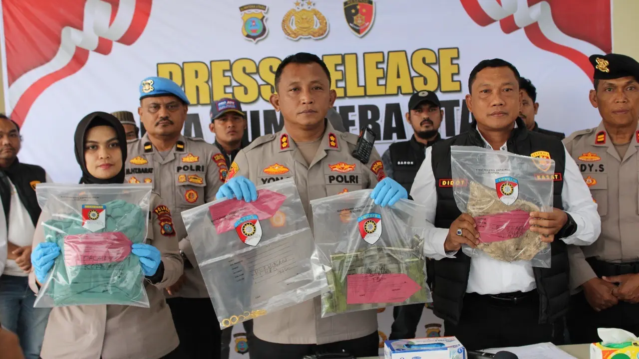 Keponakan di Tapsel Bunuh Tantenya dengan Cara Sadis Demi Emas 44 Gram