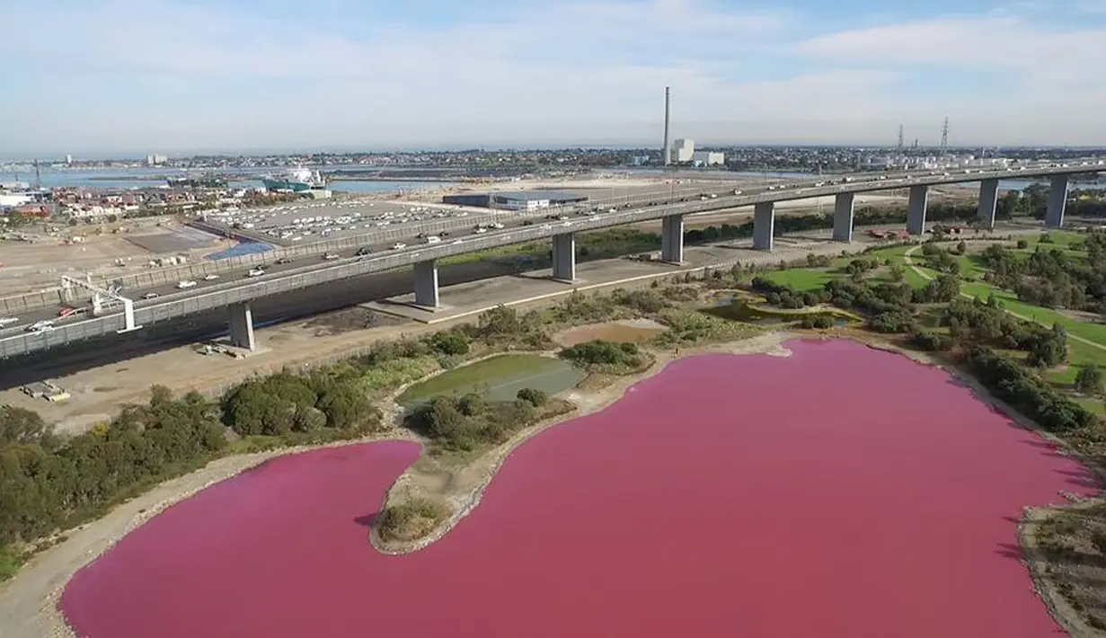 Penampakan danau di Melbourne, Australia yang berubah warna menjadi pink pada foto yang dirilis pada 9 Maret 2017. Perubahan warna danau tersebut dikarenakan tingginya suhu dan rendahnya curah hujan datang ke kawasan sana. (facebook.com/ParksVictoria)