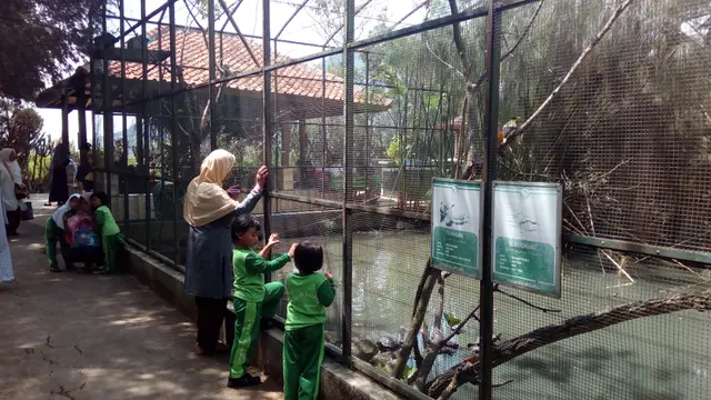 Koleksi burung taman cikembulan, garut