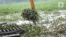 Petugas menggunakan alat berat untuk mengeruk eceng gondok yang memenuhi permukaan Setu Pengarengan, Depok, Jawa Barat, Senin (16/12/2019). Pengerukan dilakukan untuk membersihkan Setu Pengarengan dari eceng gondok yang tumbuh selama kurang lebih satu tahun terakhir. (Liputan6.com/Immanuel Antonius)