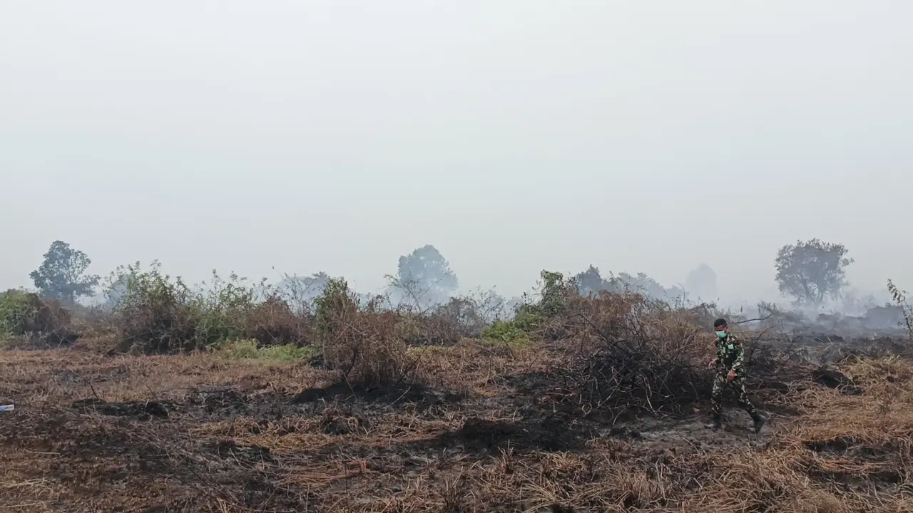 Bekas kebakaran lahan di depan Bandara Tjilik Riwut, Palangka Raya.