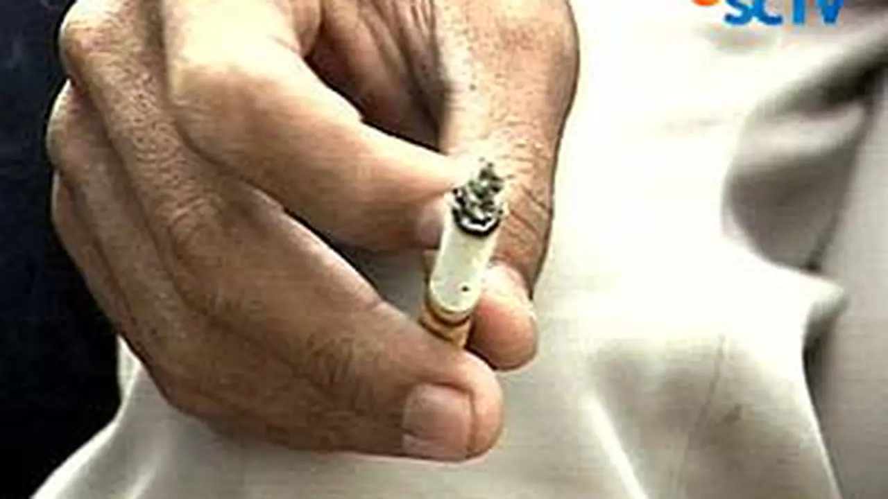 Filter Rokok Mengandung Protein Babi?