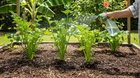8 Jenis Tanaman Daun untuk Masak yang Bisa Hidup di Tempat Teduh, Mudah Ditanam