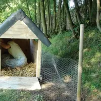 Perempuan malang ini dijadikan budak dan terpaksa menjadikan kandang bebek sebagai kamar tidurnya.