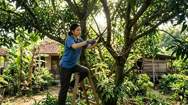 Teknik Pemangkasan Pohon Buah