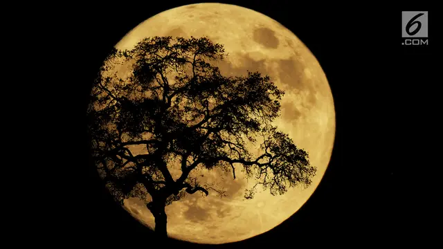 Gerhana Bulan atau Supermoon