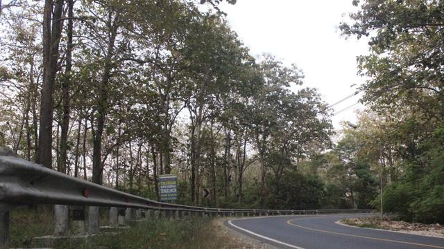 Hutan Gunung Jati Blora