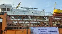 Sebanyak 450 ekor sapi yang terjamin bebas Penyakit Mulut dan Kuku (PMK) tiba di Pelabuhan Tanjung Priok, Minggu sore (19/6/2022), untuk memenuhi kebutuhan hewan menjelang Idul Adha wilayah Jabodetabek dan Bandung Raya. (Dok. Kementan)