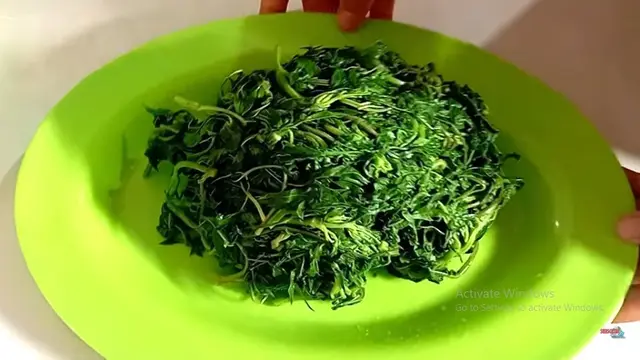 Modal Dua Bahan Dapur, Ini Cara Masak Daun Kenikir Agar Punya Tekstur Empuk Namun Tetap Hijau Segar