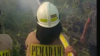 Kebakaran Dekat Stasiun Kampung Bandan Diduga Akibat Rokok, KRL Terganggu
