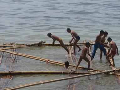 Anak-anak bermain di batang kayu bekas dermaga sandar kapal tradisional di Kawasan Cilincing, Jakarta, Selasa (10/4). Kegiatan bermain air laut ini merupakan bagian dari keseharian mereka sepeluang sekolah. (Merdeka.com/Imam Buhori)