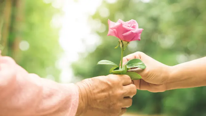 cinta ibu dan cahaya doa