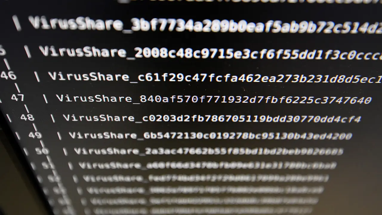 Ilustrasi Malware
