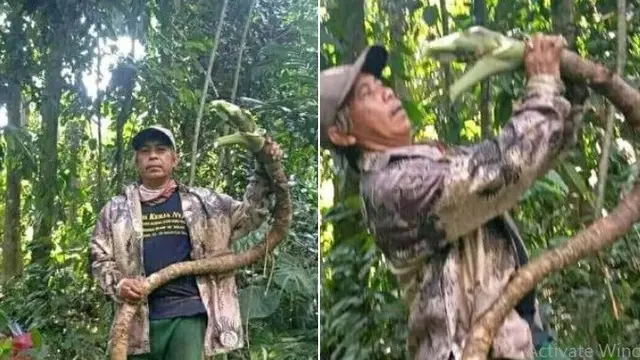 6 Momen Hampir Terkecoh Dikira Ular Ini Bikin Was-Was, Perlu Lihat Dua Kali