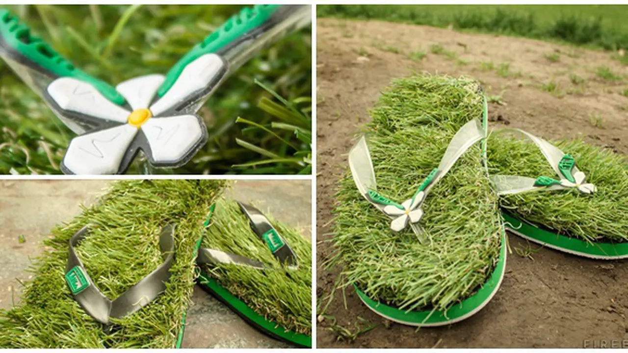 (c) Green Grass Flip Flop/Firebox