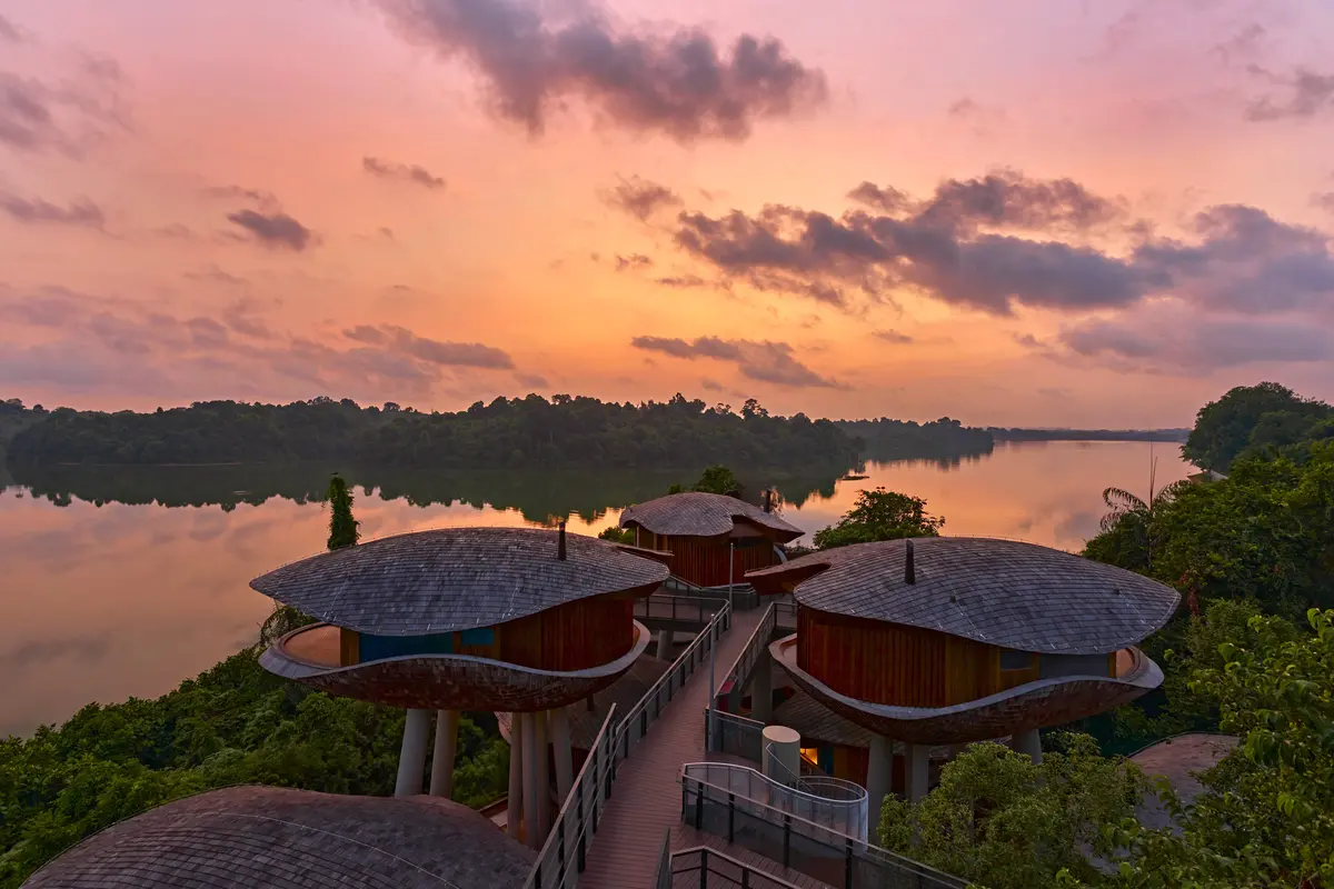 Resort Eksklusif di Cagar Alam Mandai Singapura Segera Dibuka April 2025, Tamu Dapat Akses Khusus Bertemu Hewan