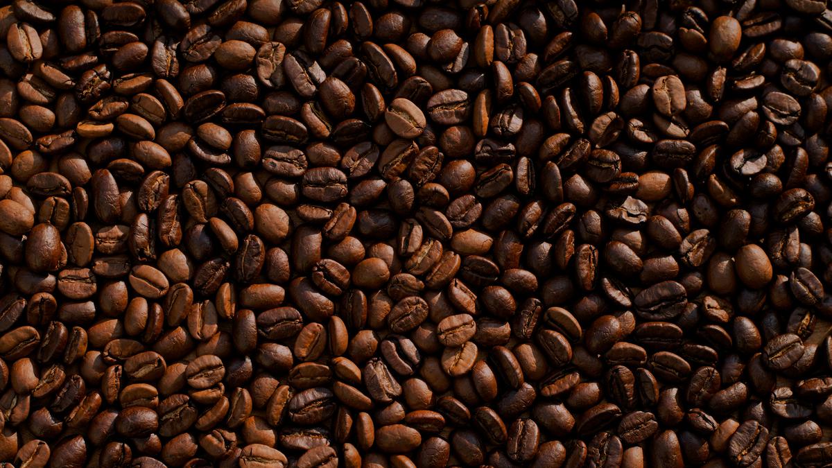 7 Biji Kopi Terbaik Dunia 2026 Menurut Espresso &amp; Coffe Guide, Indonesia Masuk Dalam Daftar