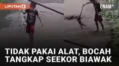 Aksi berani namun menegangkan dialami oleh seorang bocah laki-laki ini ketika bertemu dengan seekor biawak di jalanan perkampungan