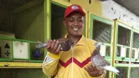 11 Usaha Ternak yang Menghasilkan Uang Setiap Hari, Begini Mengelola Modal Kecil Hasil Besar