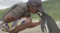 Seekor penguin menunjukkan kesetiaan pada seseorang yang menyelamatkan hidupnnya dengan mengunjunginya tiap tahun