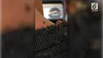 Primo Onipa bergidik saat naik becak motor di Filipina. Ia menyaksikan banyak kutu rambut sang sopir menempel di baju dan leher.