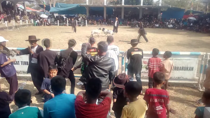 Sambil berjoget, puluhan bonek dan penonton nampak asik menikmati seni ketangkasan adu domba Garut di lapangan nasional seni ketangkasan adu domba Rancabango, Garut