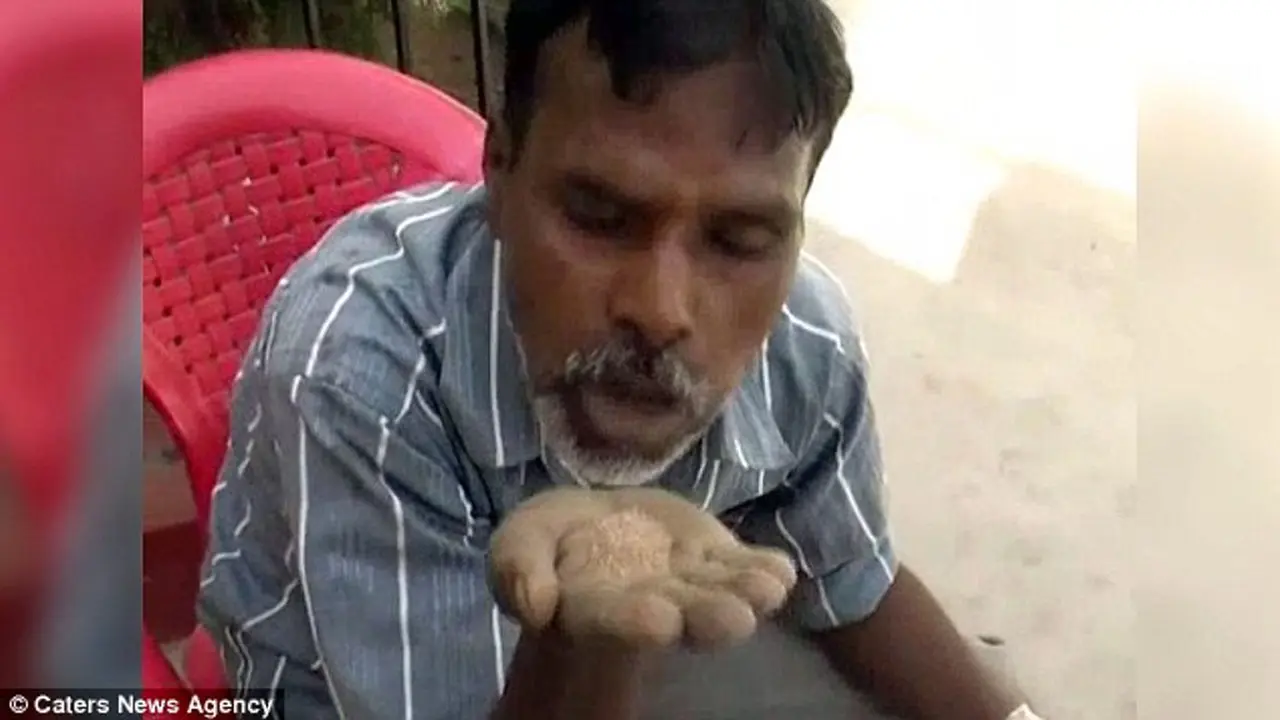 Hans Raj