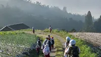 Desa Butuh, yang terletak di lereng Gunung Sumbing, Kabupaten Magelang, dikenal dengan julukan "Nepal Van Java" karena suasana alamnya yang mirip dengan Nepal. (Istimewa)