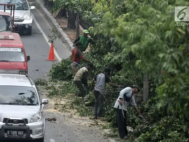 Kendaraan melintas saat petugas Suku Dinas Kehutanan Jakarta Timur menebang pohon di pinggir Jalan I Gusti Ngurah Rai, Jakarta, Rabu (25/7). Penebangan dilakukan untuk mengantisipasi terjadinya pohon tumbang. (Merdeka.com/Iqbal Nugroho)