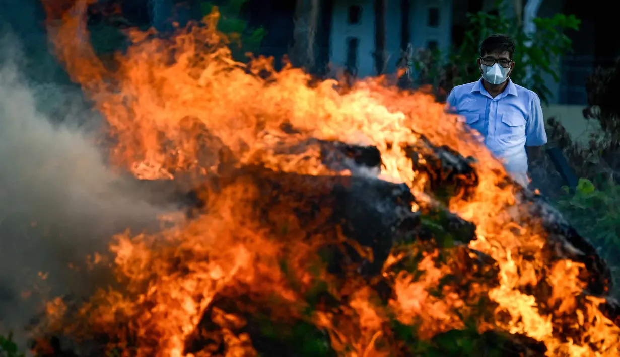 Pemusnahan narkotika jenis sabu dan kokain dilakukan dengan melarutkan barang haram tersebut dengan cairan kimia. Sedangkan untuk ganja, pemusnahan dilakukan dengan cara dibakar di area belakang markas Polda Aceh. (Chaideer MAHYUDDIN/AFP)