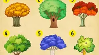 Pilih Satu dari 8 Pohon Ini, Pilihanmu Ungkap Pencapaian 2018