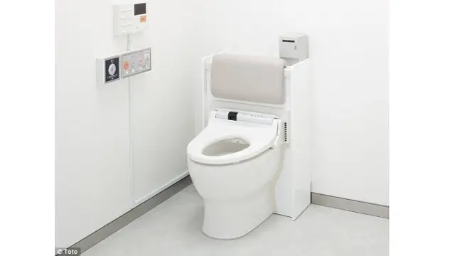 Toilet pintar