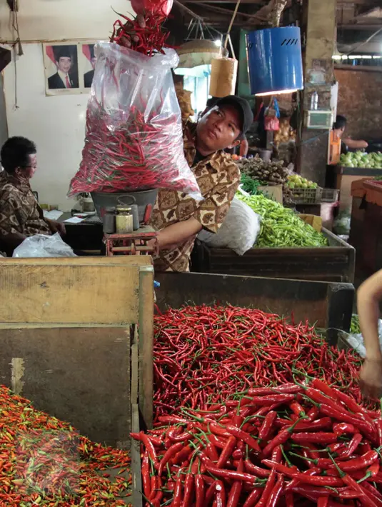Pedagang memilih cabai untuk di jual di pasar, Jakarta, Senin (20/2). Kementan tidak akan mengambil langkah untuk mengimpor cabe dan bawang. Walau pun saat ini, harga cabe dan bawang mengalami keniakan. (Liputan6.com/Angga Yunair)