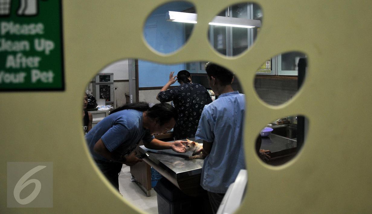 “Biaya medis satu bulan, hanya untuk biaya klinik bisa sampai Rp35 juta belum termasuk biaya vitamin dan obat. Untuk biaya makanan sehari-hari dapat menghabiskan biaya Rp5 juta dalam 3 hari.” tandas pendiri Animal Defender. (Liputan6.com/Johan Tallo)