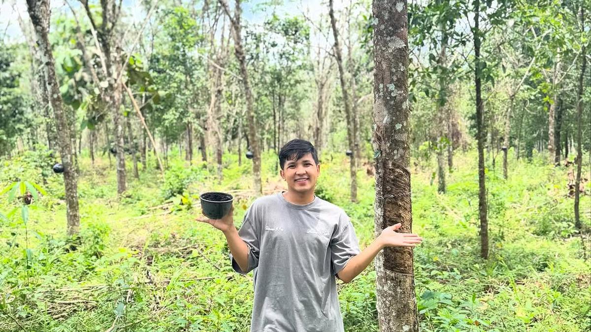 Potret Jirayut di Kebun Karet Miliknya, Luasnya Nyaris 1 Hektar