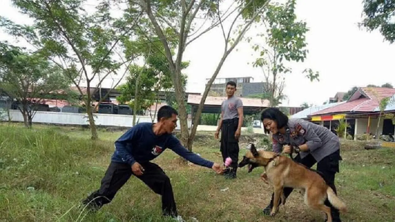 Anjing K9 milik Direktorat Sabhara Polda Sulsel disiagakan untuk pengamanan pemilu 2019 (Liputan6.com/ Eka Hakim)