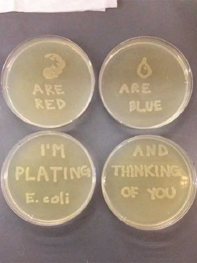 [Bintang] Kado Valentine