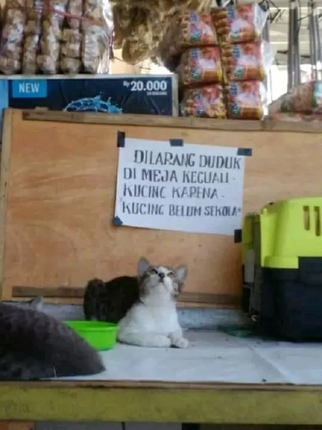 Pengumuman Kocak ini Bikin Kita Geleng-geleng Kepala